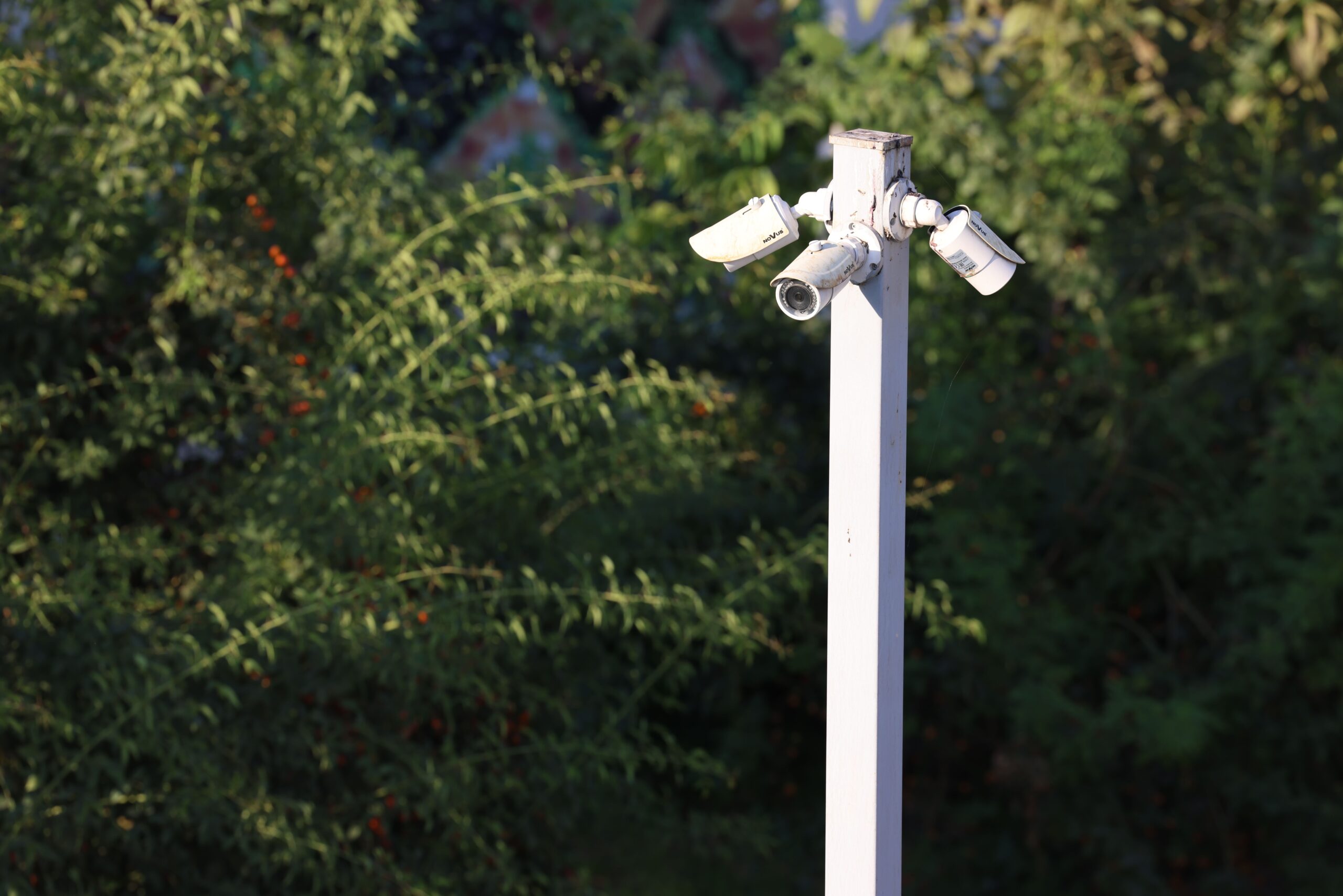 Ensemble de caméras de surveillance extérieures dans un environnement verdoyant