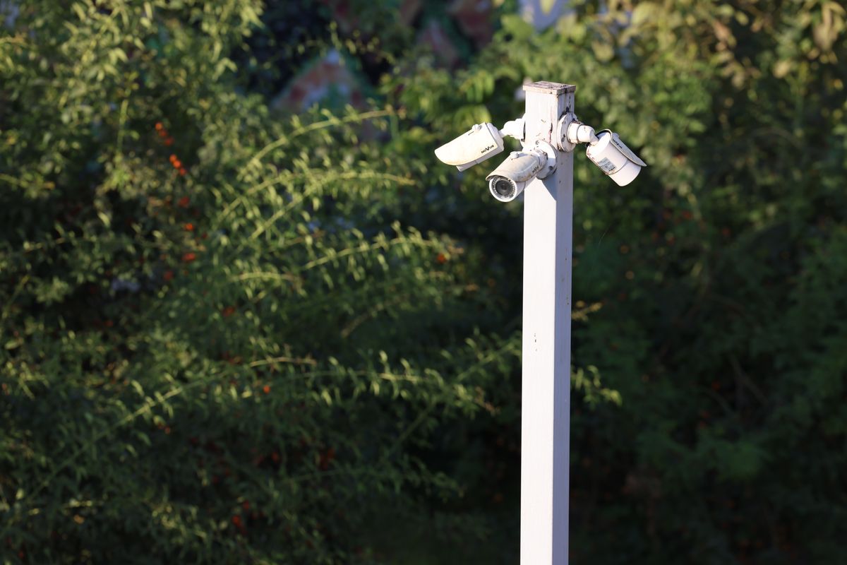 Ensemble de caméras de surveillance montées dans un environnement extérieur verdoyant