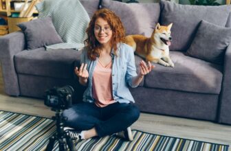 pet surveillance camera dog living room